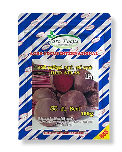Red Atlas Beet 