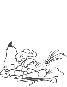 
Agro Focus International (Imported Agricultural Seeds, High-Yield Crop Seeds, Hybrid & Certified Seeds, Vegetable & Fruit Seeds for Sri Lanka, Seed Import & Distribution, Agricultural Machinery Imports, Modern Farming Equipment, Farm Mechanization Solutions, Trusted Agri-Technology Partner)
